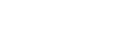 The Skin Therapist logo